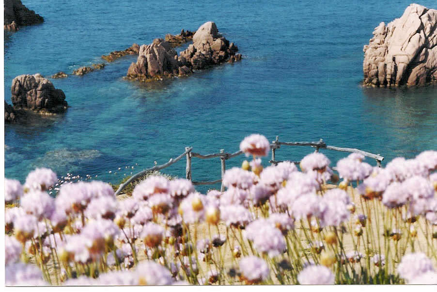 Costa Paradiso - Foto 9