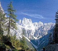 Pinzolo Appartamenti - Foto 6