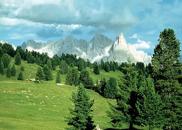 Val di Fiemme Residence Mich - Foto 6
